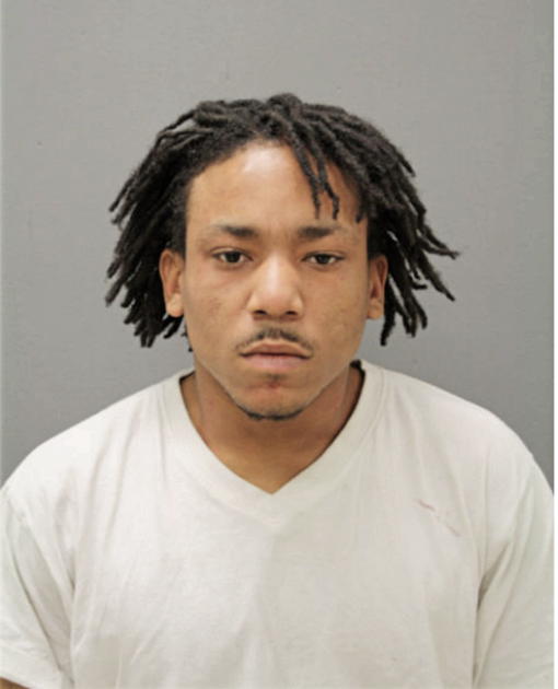 BRIAN A MATTHEWS, Cook County, Illinois