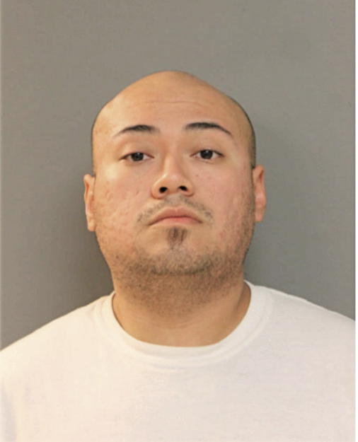 DANIEL B MENA, Cook County, Illinois