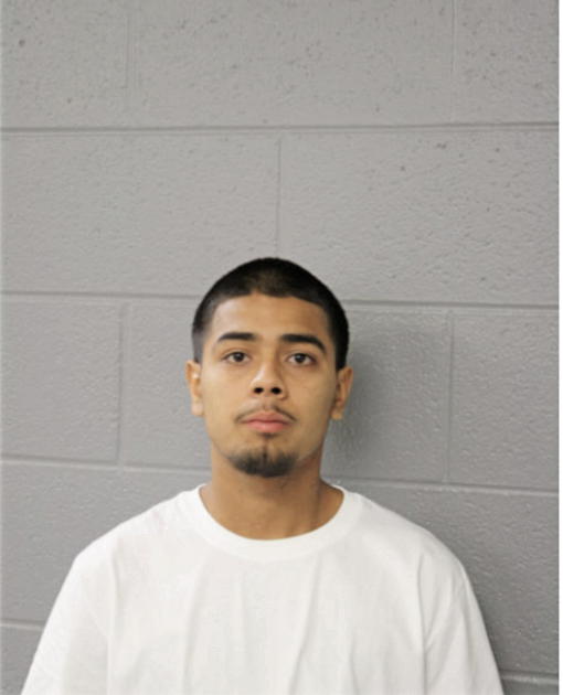 RENE M MENDOZA, Cook County, Illinois