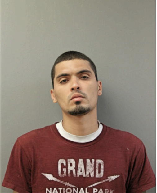 CARLOS M ORTIZ-MELENDEZ, Cook County, Illinois