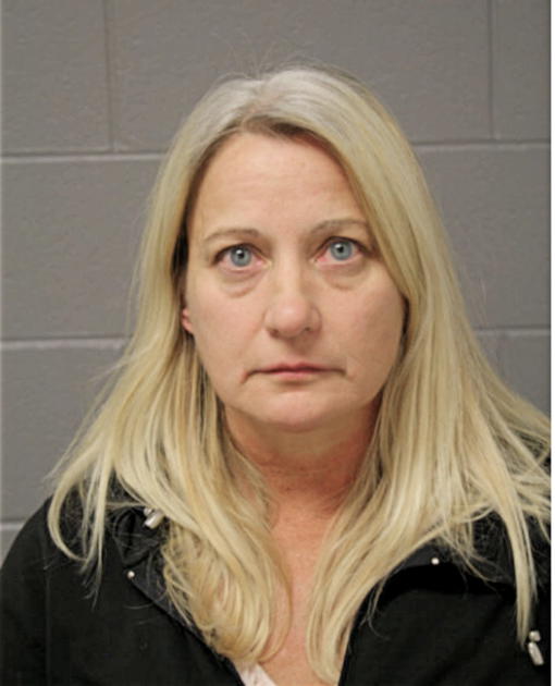 CINDY S REYNOLDS, Cook County, Illinois
