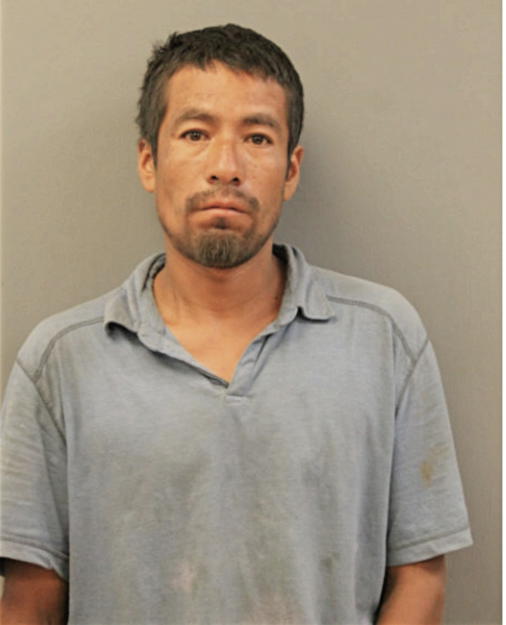 RAUL SALAGADO, Cook County, Illinois