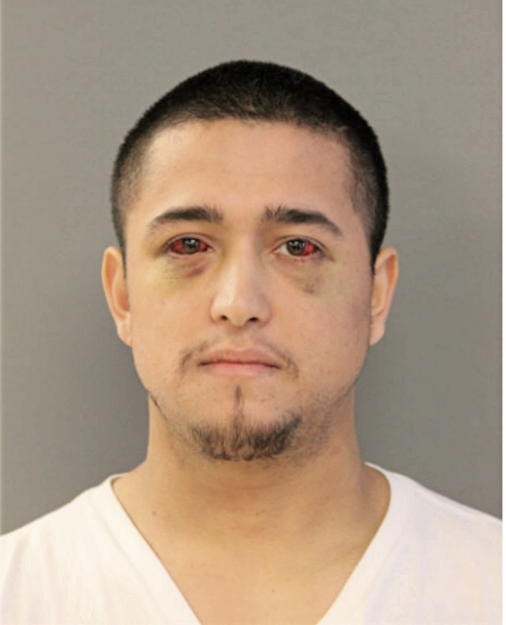 VICTOR SANDOVAL, Cook County, Illinois