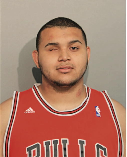 VICTOR W TORRES, Cook County, Illinois