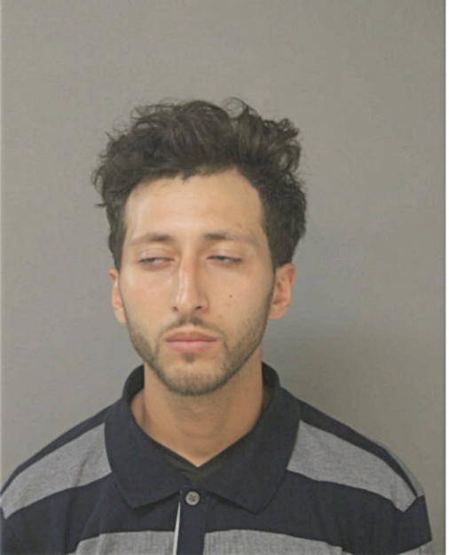 ZAARI ABDELOUAHED, Cook County, Illinois