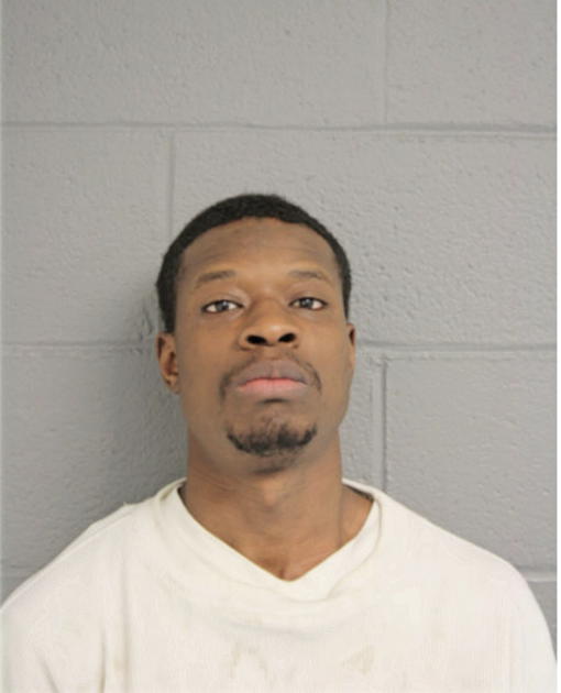 MICHAEL L AMISON, Cook County, Illinois