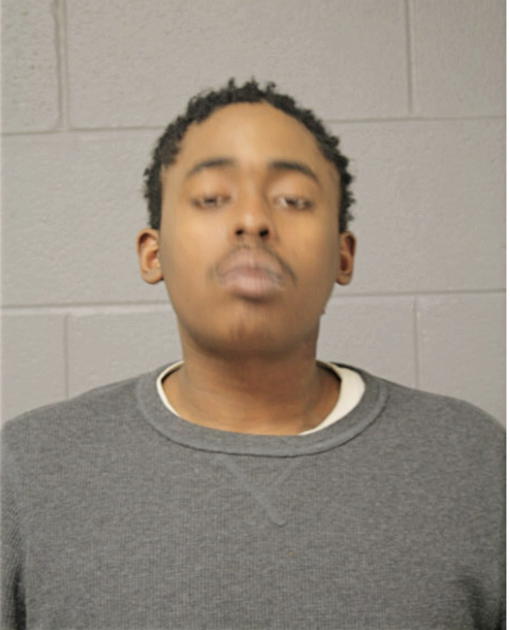 KENNETH L ANDERSON, Cook County, Illinois