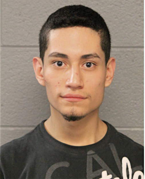 CESAR AVILES, Cook County, Illinois