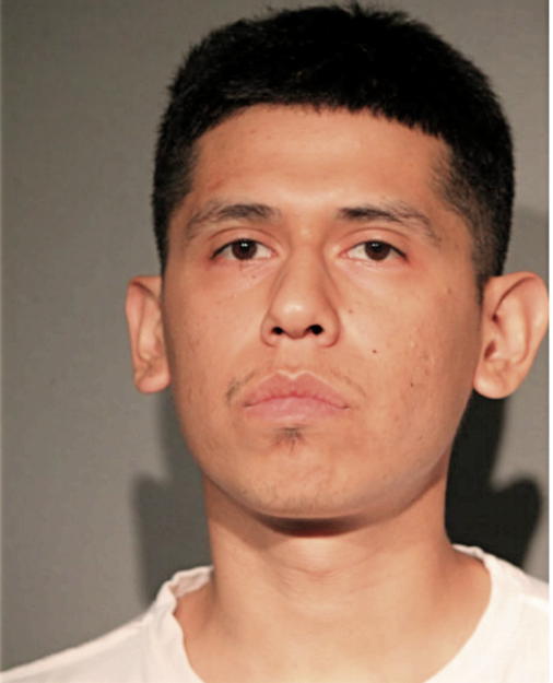 JUAN M CANA, Cook County, Illinois
