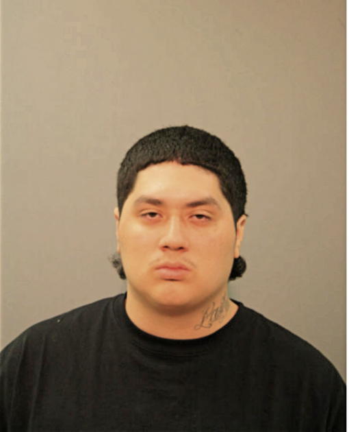 JOSE D CASTILLO, Cook County, Illinois