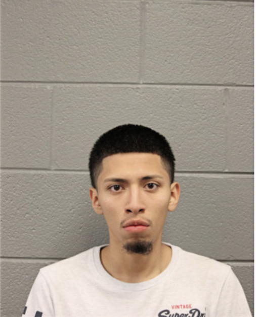 ANDRES DAMIAN-SALGADO, Cook County, Illinois