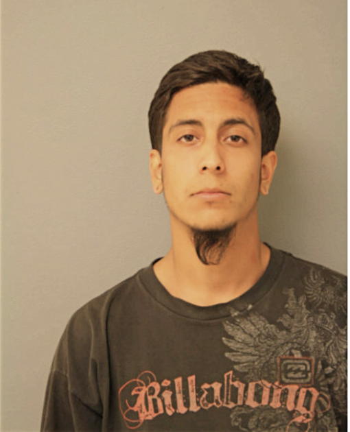 ANDRES C DIAZ, Cook County, Illinois