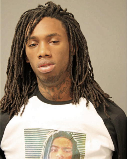 MICHAEL A JAMES, Cook County, Illinois