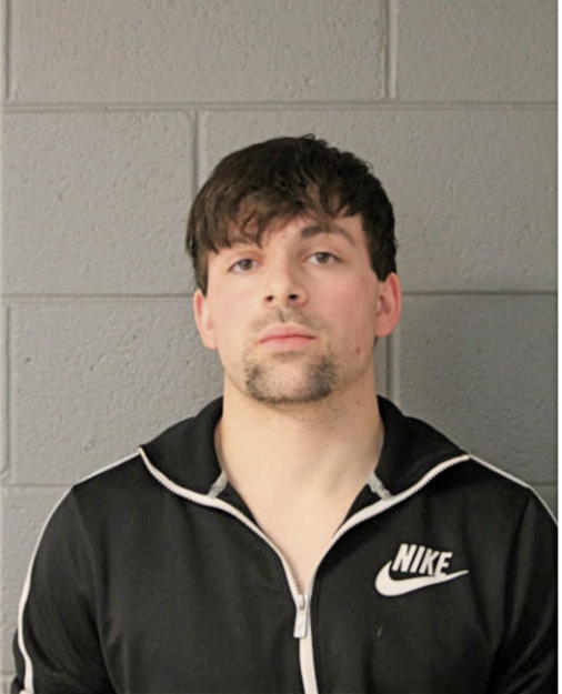 ALEXIS T LIGUE, Cook County, Illinois