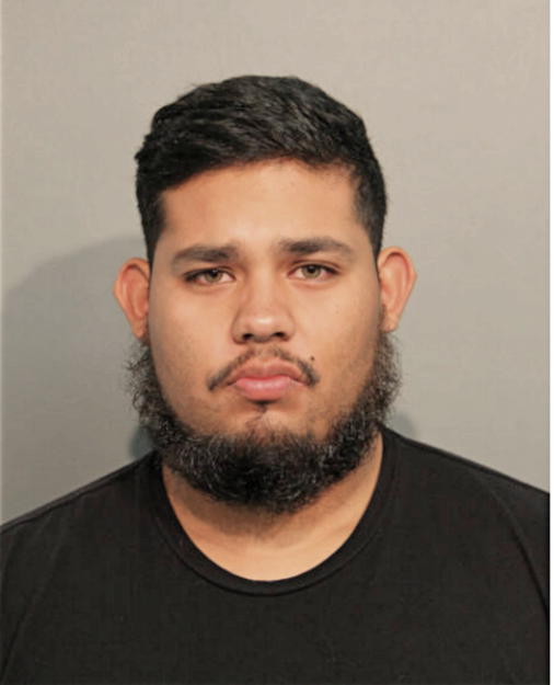 LUIS C MELCHOR, Cook County, Illinois