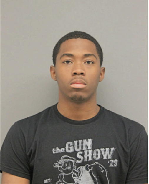 JALEN E MINOR, Cook County, Illinois
