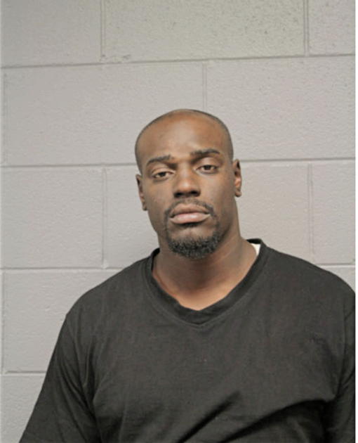 MICHAEL T NASH, Cook County, Illinois