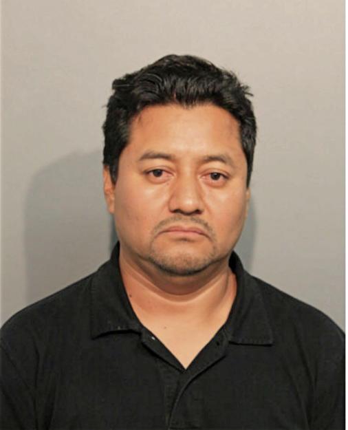 WILLIAM A PINEDA, Cook County, Illinois