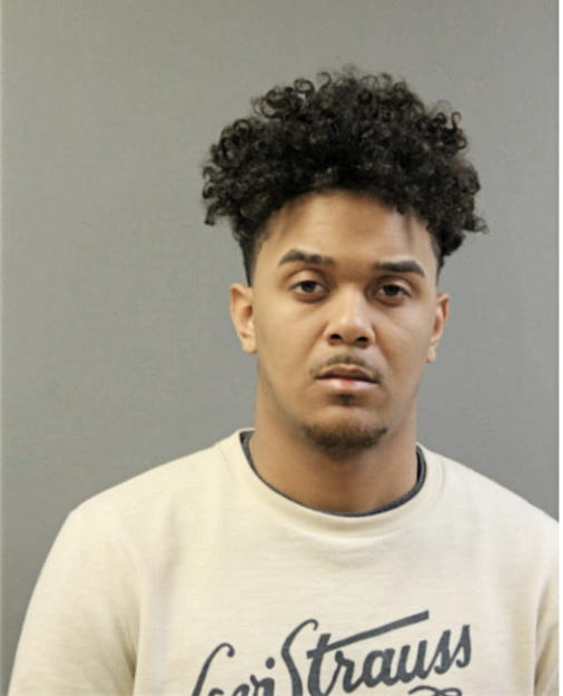 CHRISTIAN TORRES, Cook County, Illinois