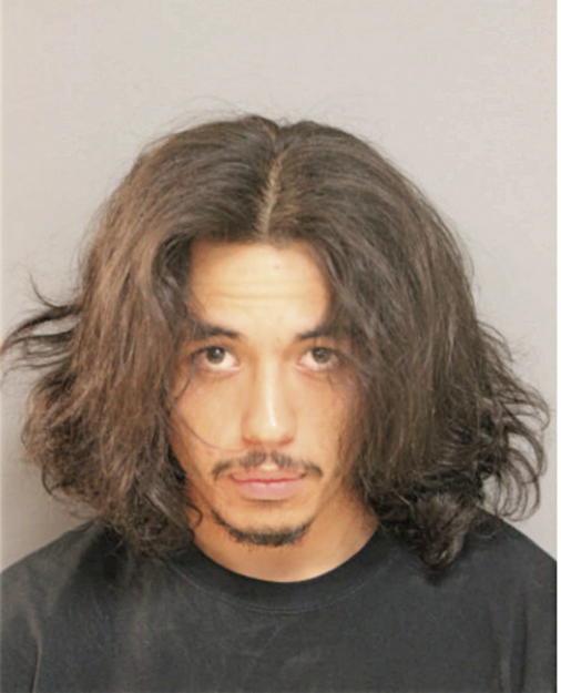 JULIAN A VELA, Cook County, Illinois