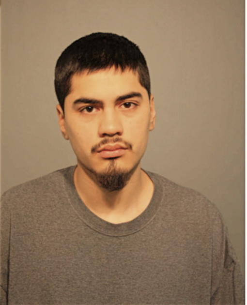 CARLOS ACUNA, Cook County, Illinois