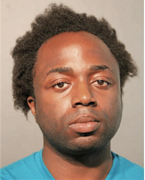 MICHAEL ADENIYI, Cook County, Illinois