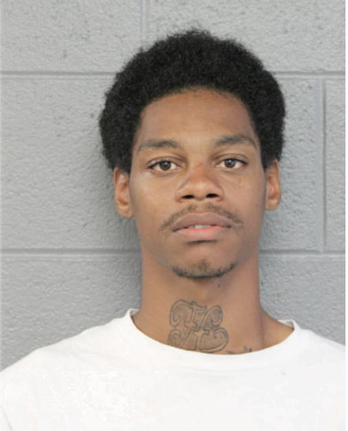DONYELL A AUSTIN, Cook County, Illinois