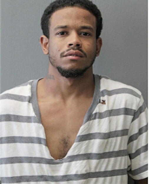 HENRY S BARNES, Cook County, Illinois