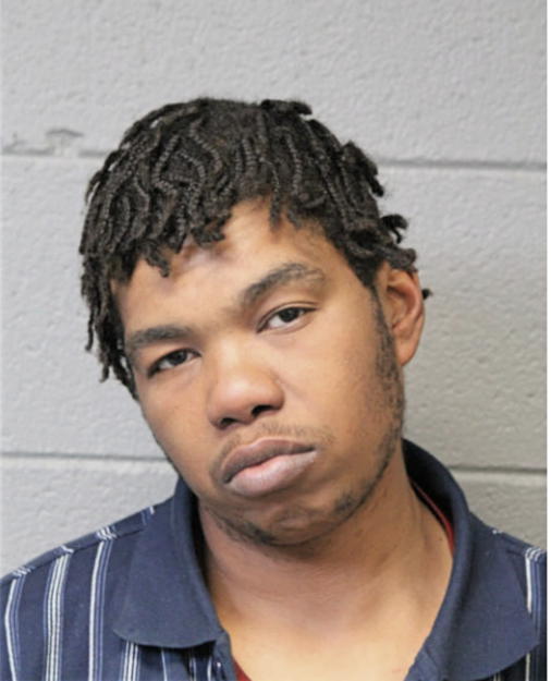 GARY JR BASS, Cook County, Illinois