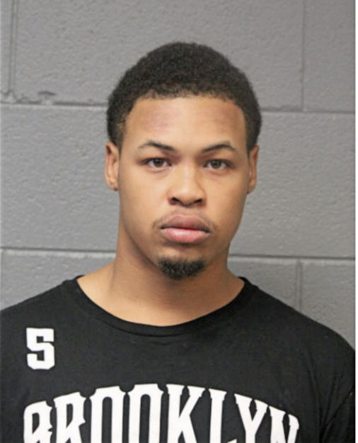 SHANNON M BROWN, Cook County, Illinois