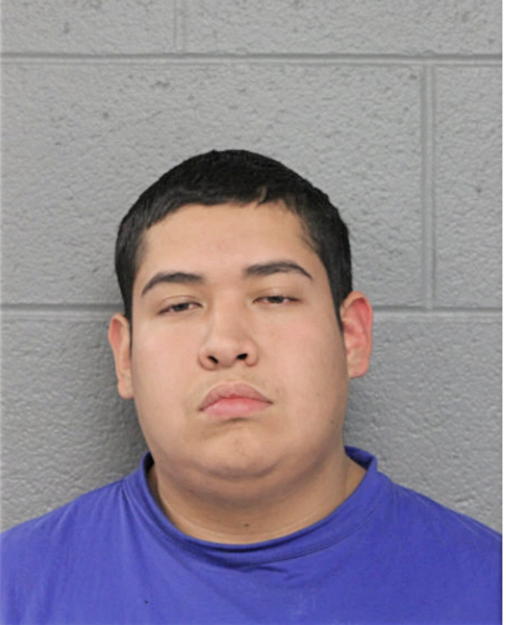 CRISTIAN CELIS, Cook County, Illinois