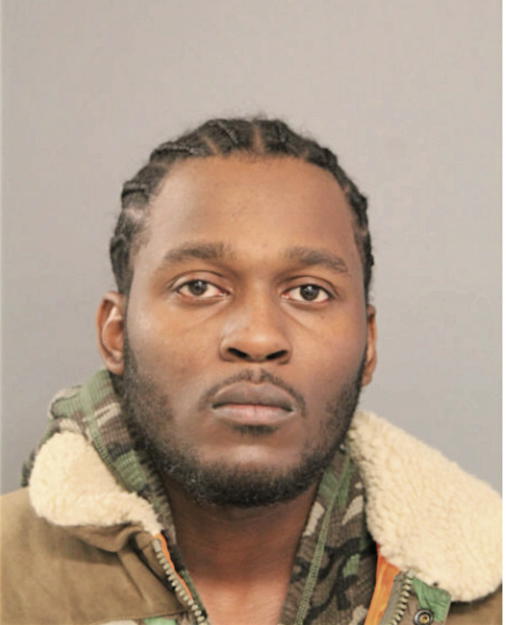 JERAMI C DAVIS, Cook County, Illinois