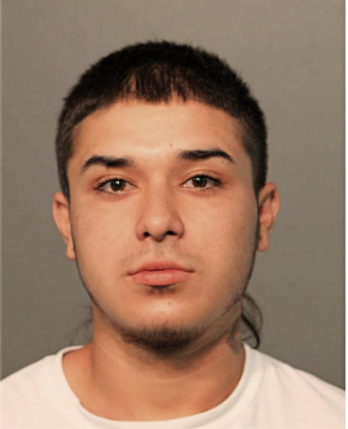 SANTOS A DENA, Cook County, Illinois