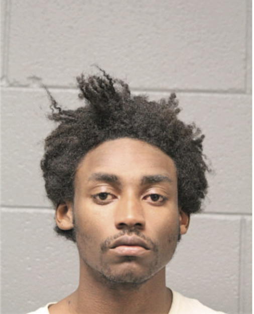 DARNELL N DORSEY-COLLIER, Cook County, Illinois