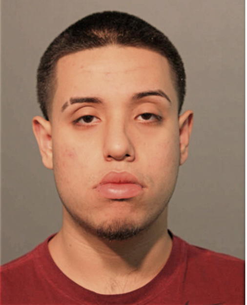 NICHOLAS A ECONOMOS, Cook County, Illinois