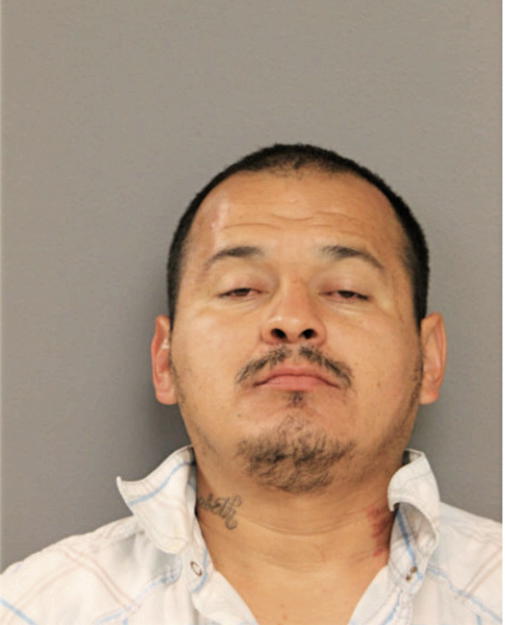 CARLOS D FONSECA, Cook County, Illinois