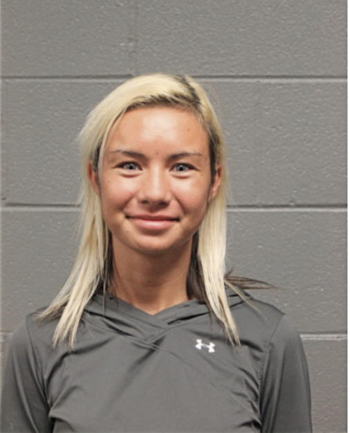ERIKA L FORD, Cook County, Illinois