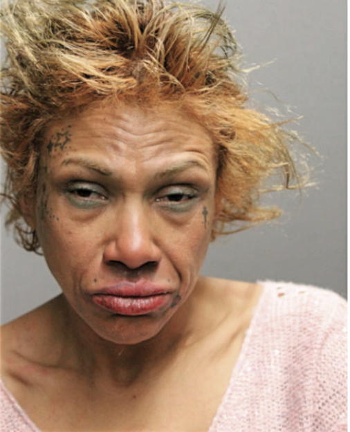 VICTORIA GONZALES, Cook County, Illinois