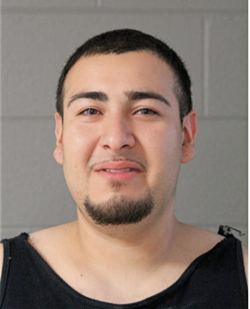 AURELIO J HERNANDEZ, Cook County, Illinois