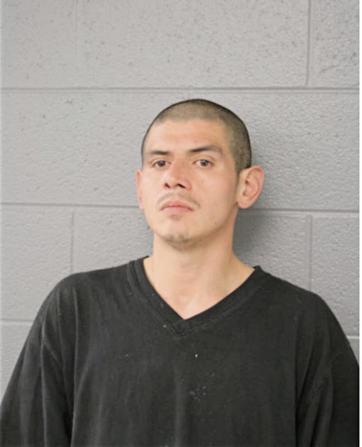 JOSE P LEANOS, Cook County, Illinois