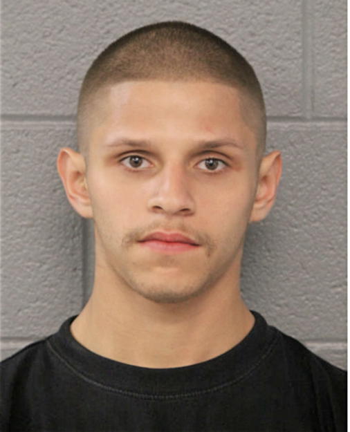 JESSE L MORALES, Cook County, Illinois