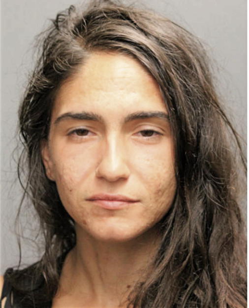 ANGELA C PAGONE, Cook County, Illinois