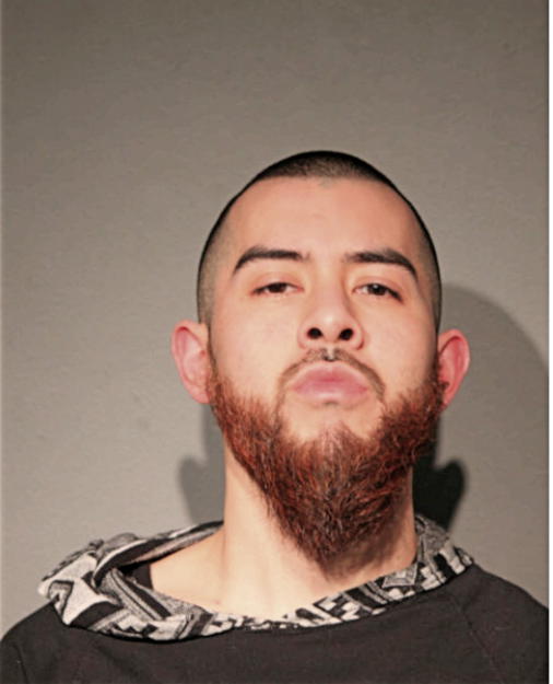 STEVE PALAFOX, Cook County, Illinois