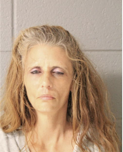 JULIE C RADCLIFFE, Cook County, Illinois