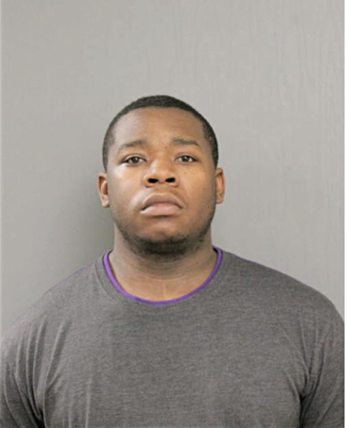 CHARLES W SANDERS, Cook County, Illinois