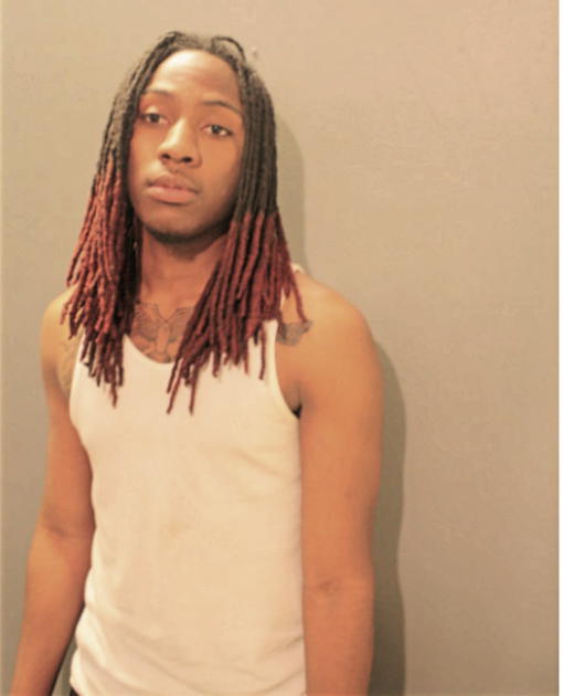 RANDY E SMITH, Cook County, Illinois