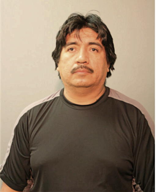 LEONEL G TELLEZ, Cook County, Illinois