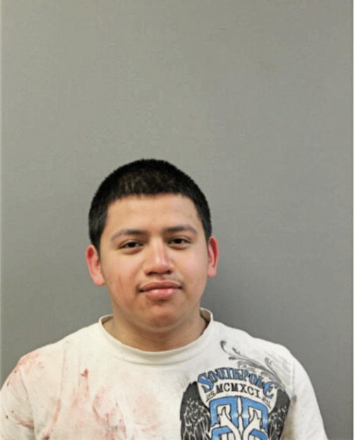 FERNANDO VALLADARES, Cook County, Illinois