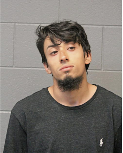NICHOLAS A VASQUEZ, Cook County, Illinois