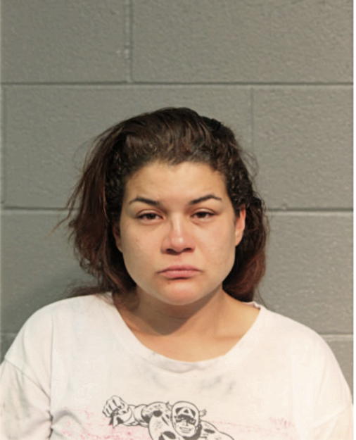 LIDIA A NUNEZ, Cook County, Illinois